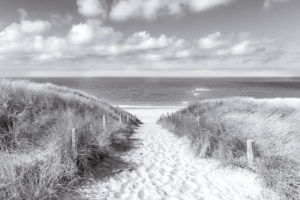 Dune landscape in Holland with a view of the sea Dune landscape in Holland with a view of the sea